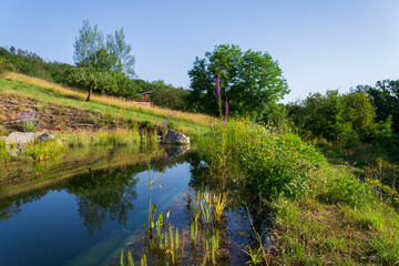 Natural swimming pond or natural swimming pool - NSP - purifying water without chemicals through biological filters and plants