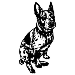 Australian Smithfield Stumpytail Dog Breed - Pet Vector Cut file, Dog Silhouette Stencil - Cricut file