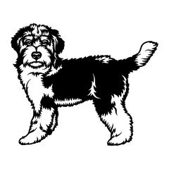 Bernedoodle Dog Breed - Pet Vector Cut file, Dog Silhouette Stencil - Cricut file