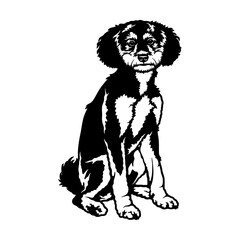 Bernedoodle Dog Breed - Pet Vector Cut file, Dog Silhouette Stencil - Cricut file