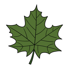 Fototapeta premium Hand drawn cartoon green maple leaf on white background.