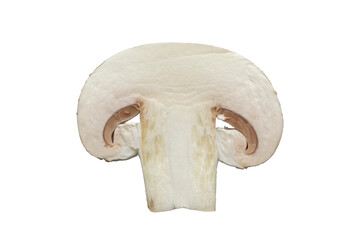 mushroom cut into slices on a white background