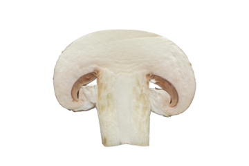 mushroom cut into slices on a white background
