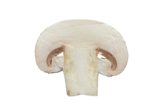 mushroom cut into slices on a white background