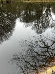 HAmpstead Heath, North London. Running morning