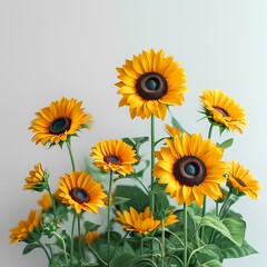 Fototapeta premium Vibrant Sunflowers in Minimalist Setting: Cheerful Summer Floral Arrangement, Studio Shot