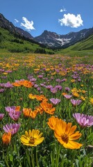 Fototapeta premium Vibrant wildflower meadow bursting with color in springtime sunshine