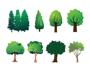 Vector illustration of a collection of trees isolated on a white background.