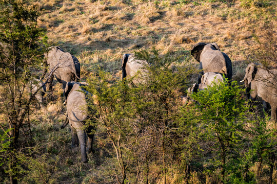 Ballonsafari in der Serengeti