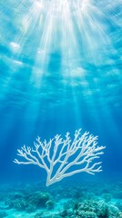 A white coral in the middle of a coral reef