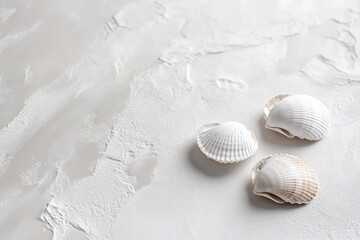 Delicate seashells arranged on textured surface evoke coastal se