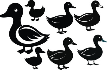 Black and white silhouettes of domestic ducks with ducklings in different poses. duck with ducklings