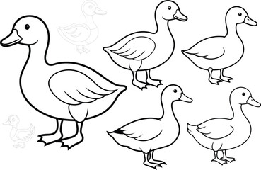 Black and white line arts of domestic ducks with ducklings in different poses. duck with ducklings