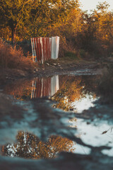 Fototapeta premium Puddle reflection in the countryside. Scenic autumn season. large puddles in moody autumn. 