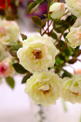 Original flowers made of polymer clay. The most realistic display. Soft focus. Close-up.
