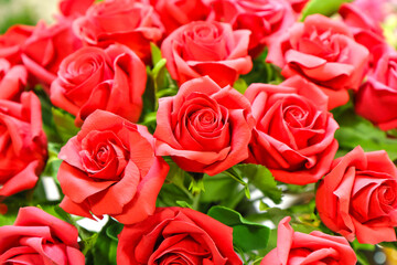 Fototapeta premium Original flowers made of polymer clay. The most realistic display. Soft focus. Close-up.