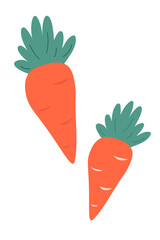 Set of two carrots in flat style