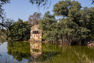 Raj Bagh ruins in Ranthambore