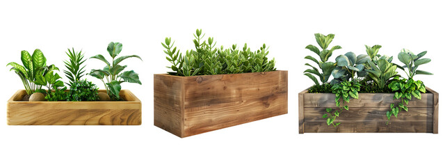 Rectangle Shape Plants on Transparent Background