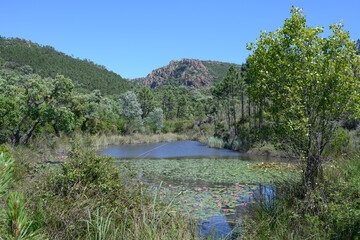 Massif de l'Est&eacute;rel