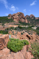 corniche de l'Est&eacute;rel
