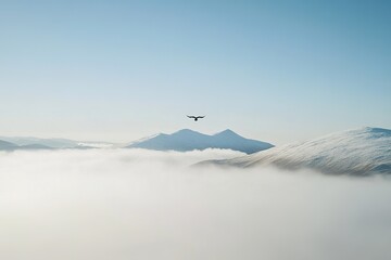 Silhouettes of mountains in the mist and bird flying