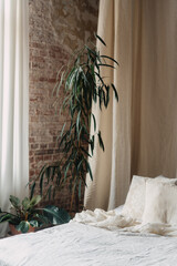 Cozy bohemian bedroom with natural light and greenery for a modern retreat © brizmaker