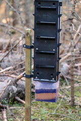 Close up of a bark beetle trap attached to a wooden post, showcasing its design and placement in a natural environment