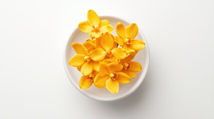 Fototapeta premium Bright Yellow Orchid Flowers Arrangement in White Bowl on Table
