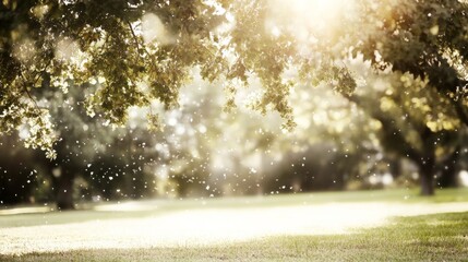 Naklejka premium Soft Light in Natural Park with Positive Expressions