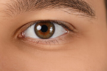 Obraz premium Young man with brown eyes, closeup