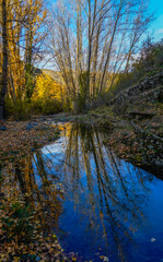 Obraz premium Reflections in the river with autumn colors