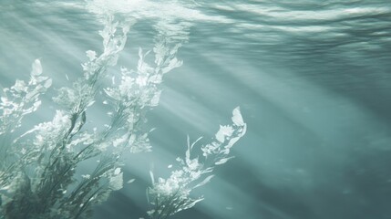 Serene Underwater Plants in Gentle Currents