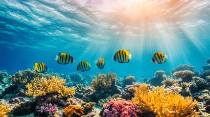 Naklejka premium Vibrant Fish Swimming Through Coral Reefs Under Natural Light