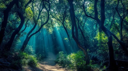 Fototapeta premium Vivid Forest Scene with Dynamic Angles and Soft Light
