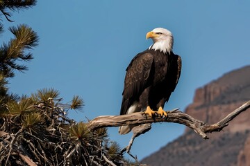 A Bald Eagle Perches on a Branch, Surveying the Landscape With Mountains in the Background Under a Clear Blue Sky