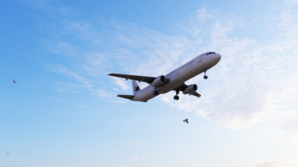 ULTRA HD. Airplane flies in blue sky. Travel, tourism. Airplane takes off against the background of blue sky.