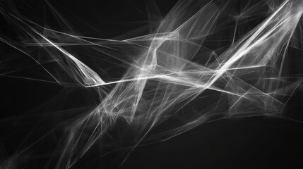 Abstract grayscale artwork featuring intricate, web-like patterns against a dark background.