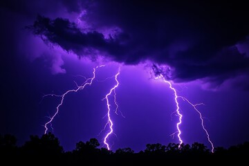 Purple lightning strikes illuminate dark stormy night sky above silhouetted trees.