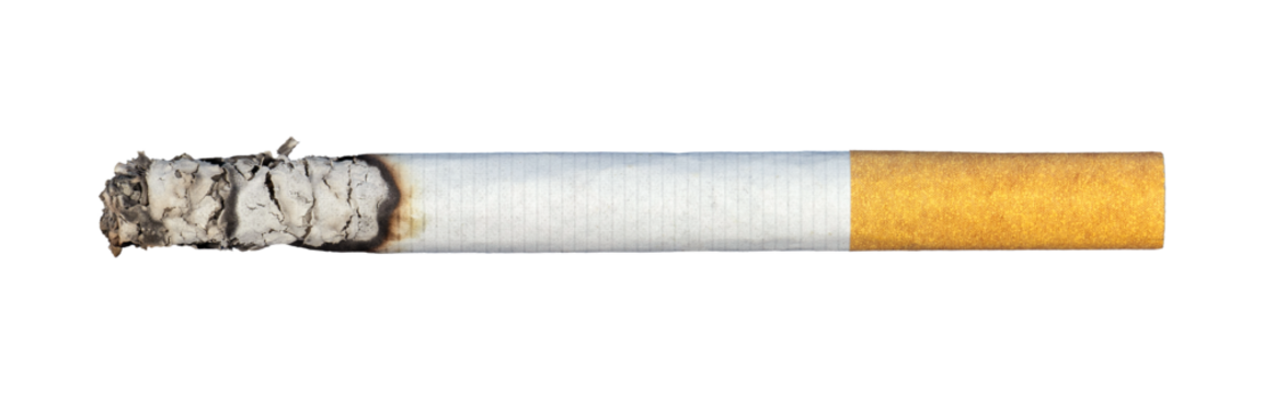 cigarette butts with ash isolated