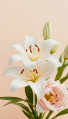 Obraz premium Close up white beige lily flower natural floral background pastel color with copy space Natural beauty blossoming lily flower Peony blooms vertical flowery image celebrate nature post :, clipart st