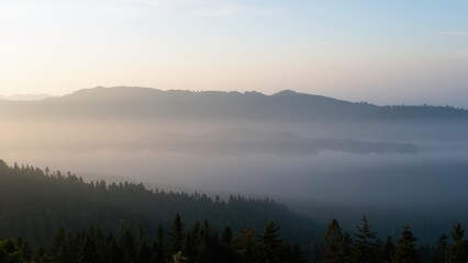 Fototapeta premium Misty Mountain Sunrise: Serene Landscape Panorama