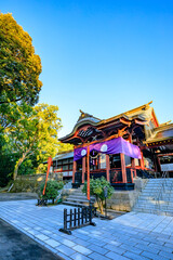 Obraz premium 秋の鹿児島神宮 鹿児島県霧島市 Kagoshima Shrine in autumn. Kagoshima Pref. Kirishima City.