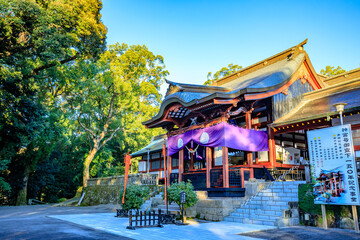 秋の鹿児島神宮　鹿児島県霧島市　Kagoshima Shrine in autumn. Kagoshima Pref....