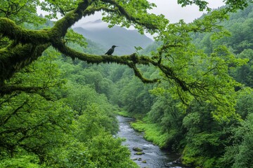 Obraz premium A peaceful forest scene with a hummingbird resting on a moss-covered branch near a babbling brook