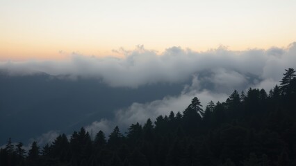 Obraz premium Misty Mountain Sunset: Serene Landscape of Pine Forest at Dusk