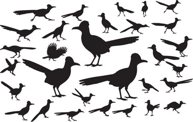 Roadrunner Silhouette Collection