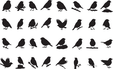 Robin Silhouette Collection