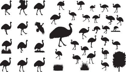 Solid Black Silhouette of an Emu