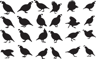Solid Black Silhouette of a Quail